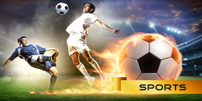 855bet Descubra o vibrante mundo dos esportes online em